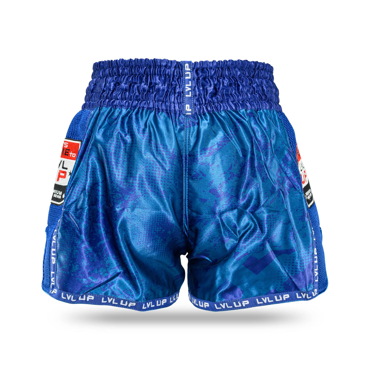 lvl up stadium 4 shorts