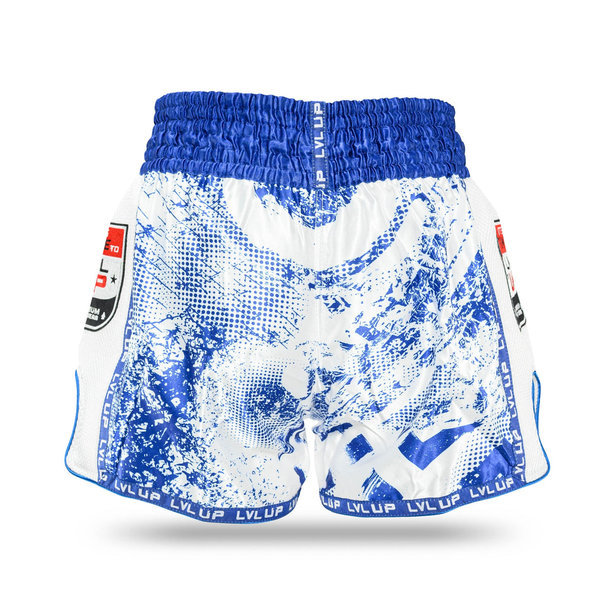 lvl up stadium 3 shorts