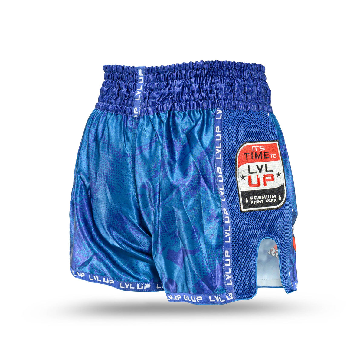 lvl up stadium 4 shorts
