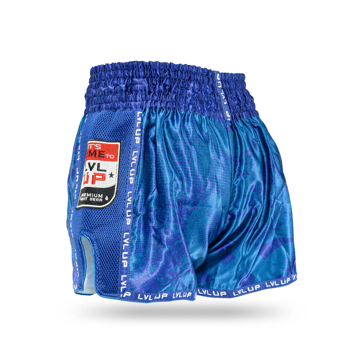 lvl up stadium 4 shorts