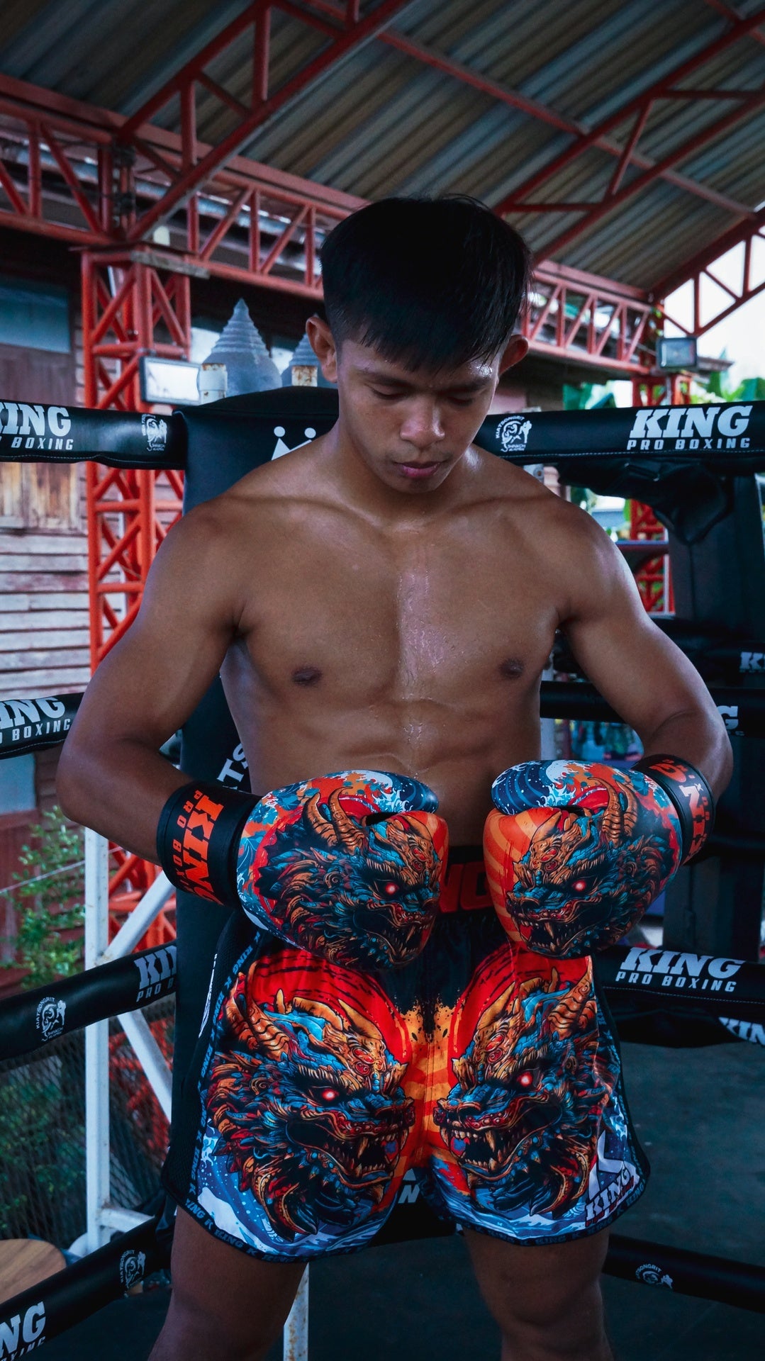 kpb dragon shorts