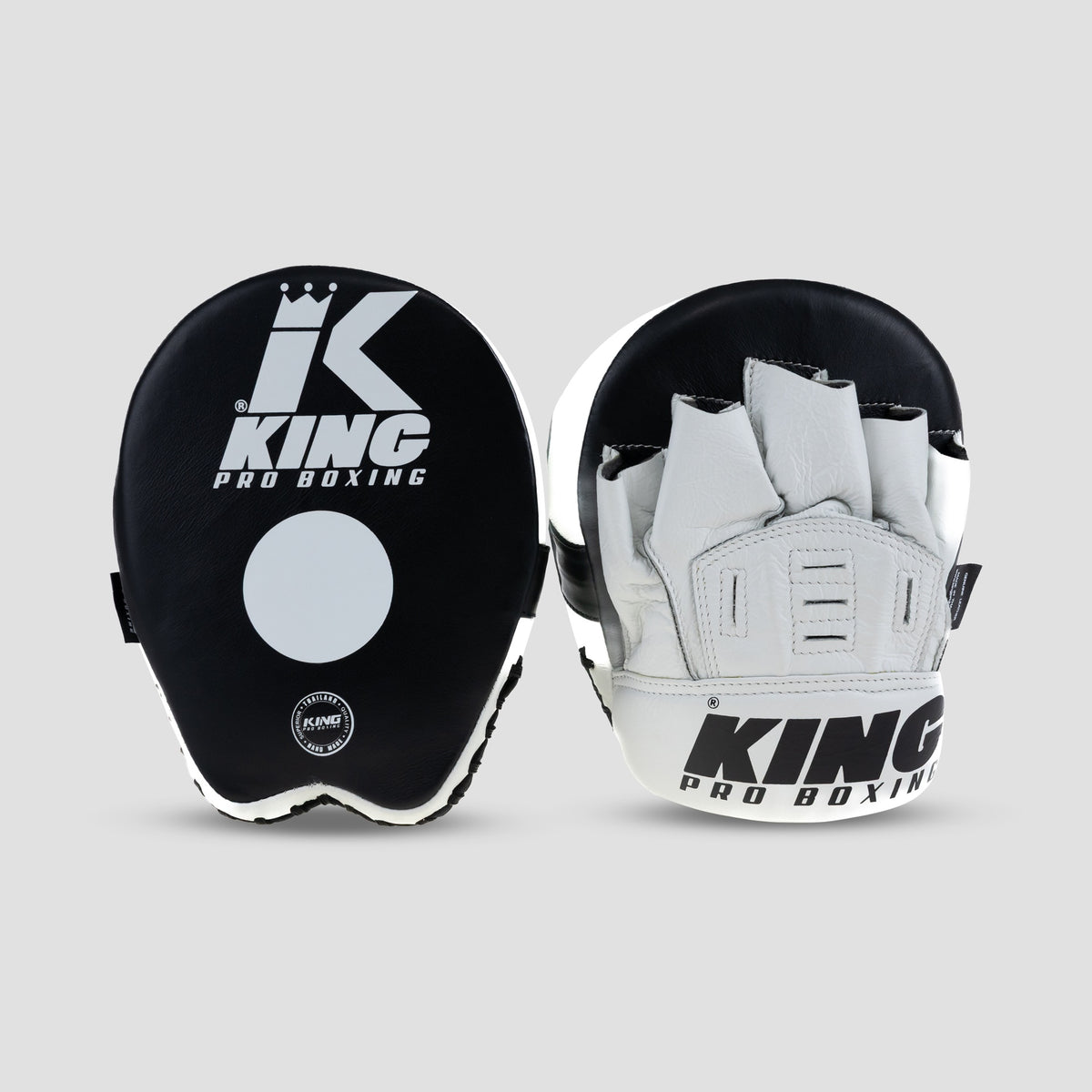 King Pro Boxing FM Focus mitts